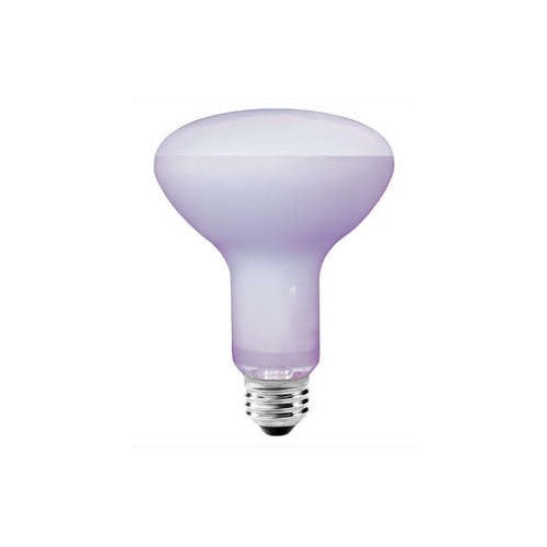 Philips 100R30/FL Flood Light Bulb
